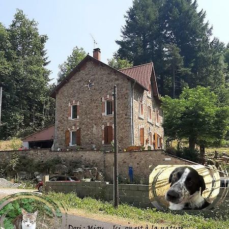 Appartamento E lu chantauziau La Monnerie-le Montel Esterno foto