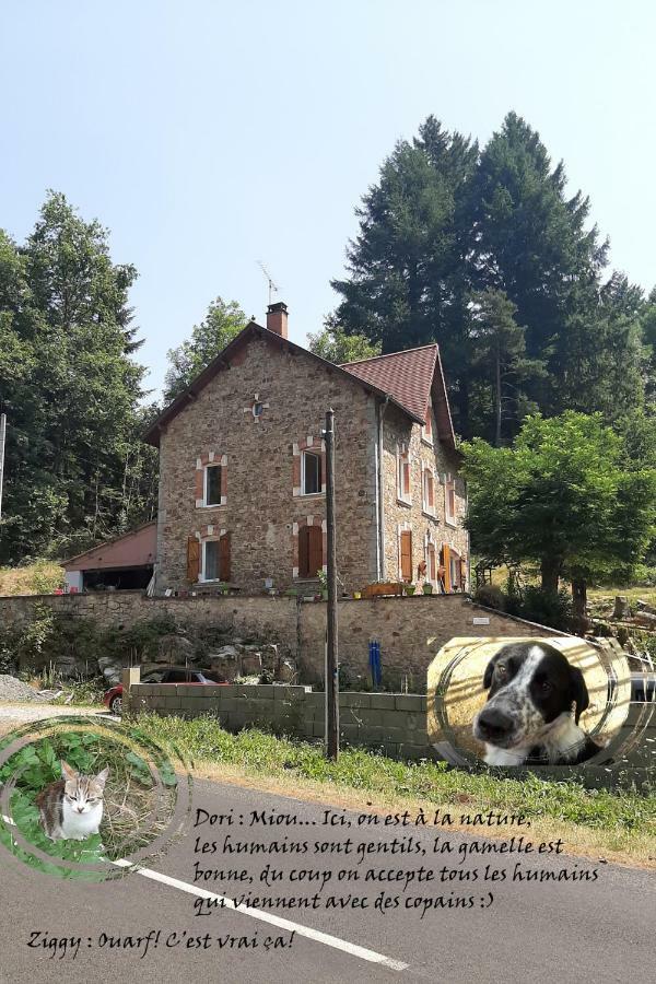 Appartamento E lu chantauziau La Monnerie-le Montel Esterno foto